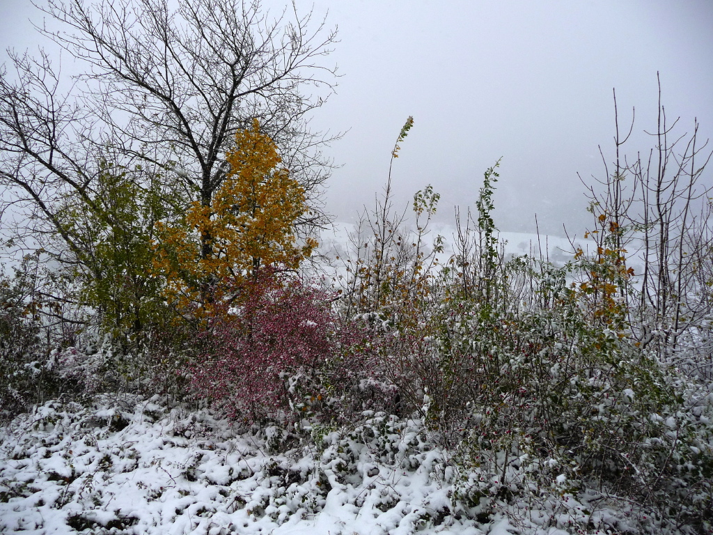 P1080940