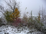 P1080940