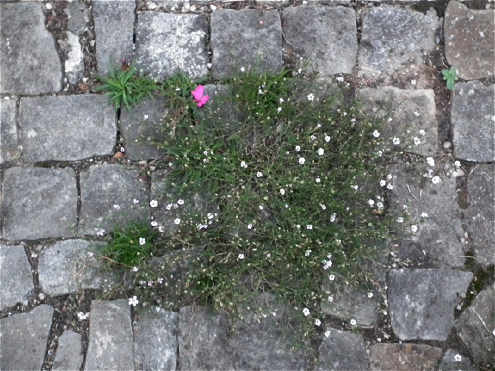 DSCF5295