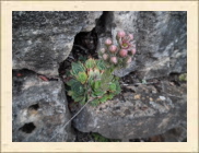 DSCF5289