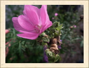 DSCF5244
