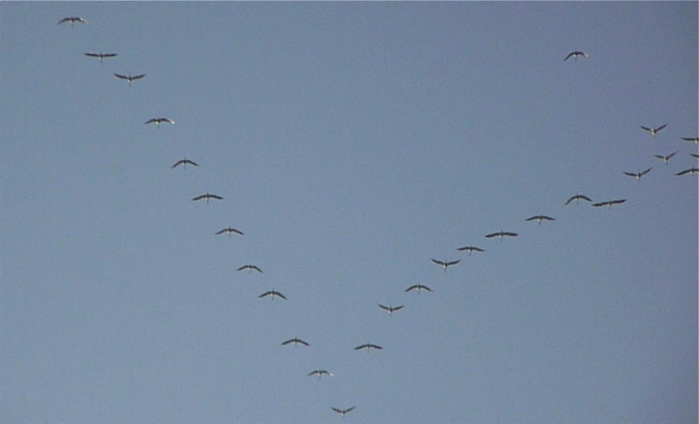 Bild06