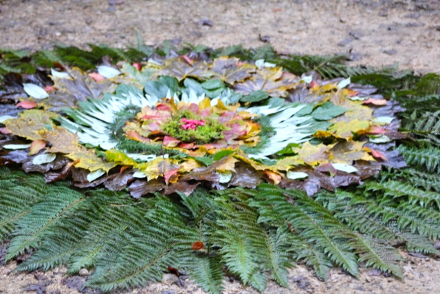IMG_0388 (640x427)