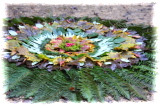 IMG_0388 (640x427)